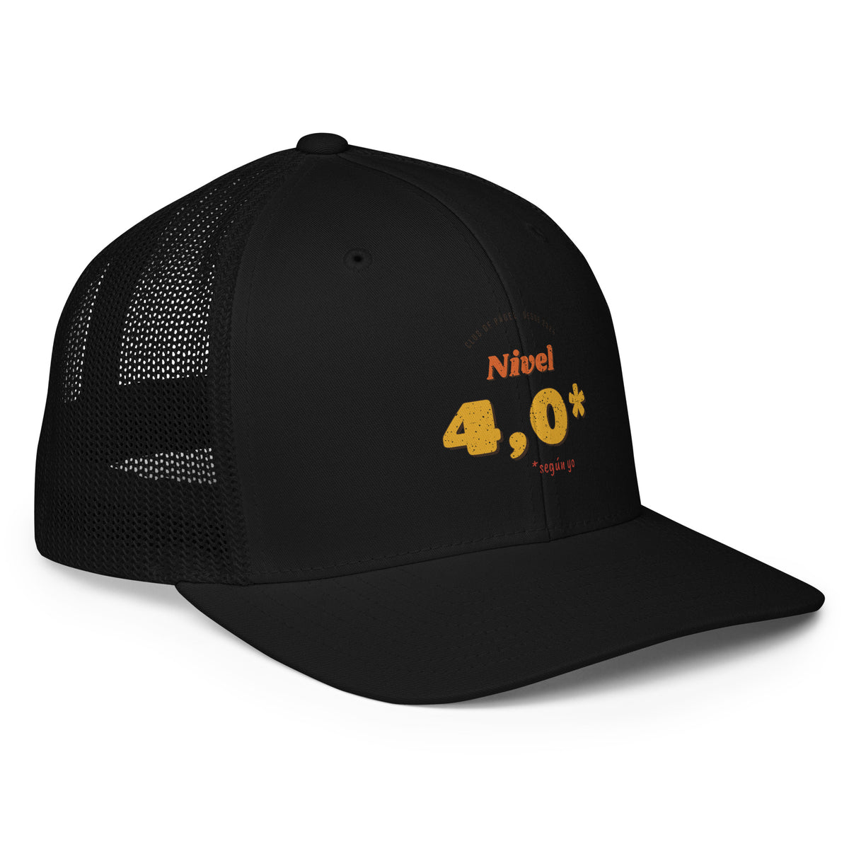 Gorra Pádel Retro "Nivel 4,0* (según yo)" — vista trasera